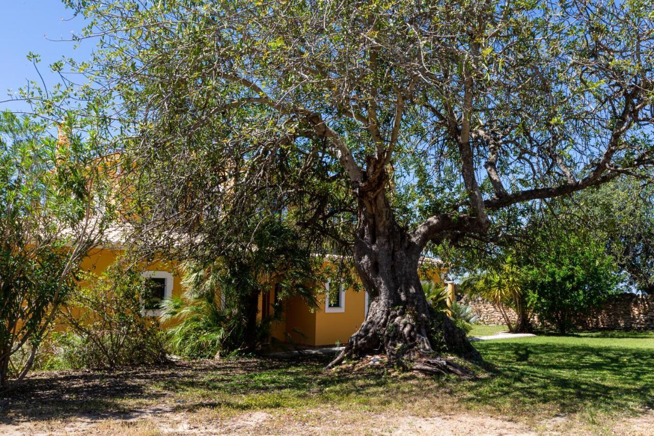 Vila Limao Boliqueime Buitenkant foto
